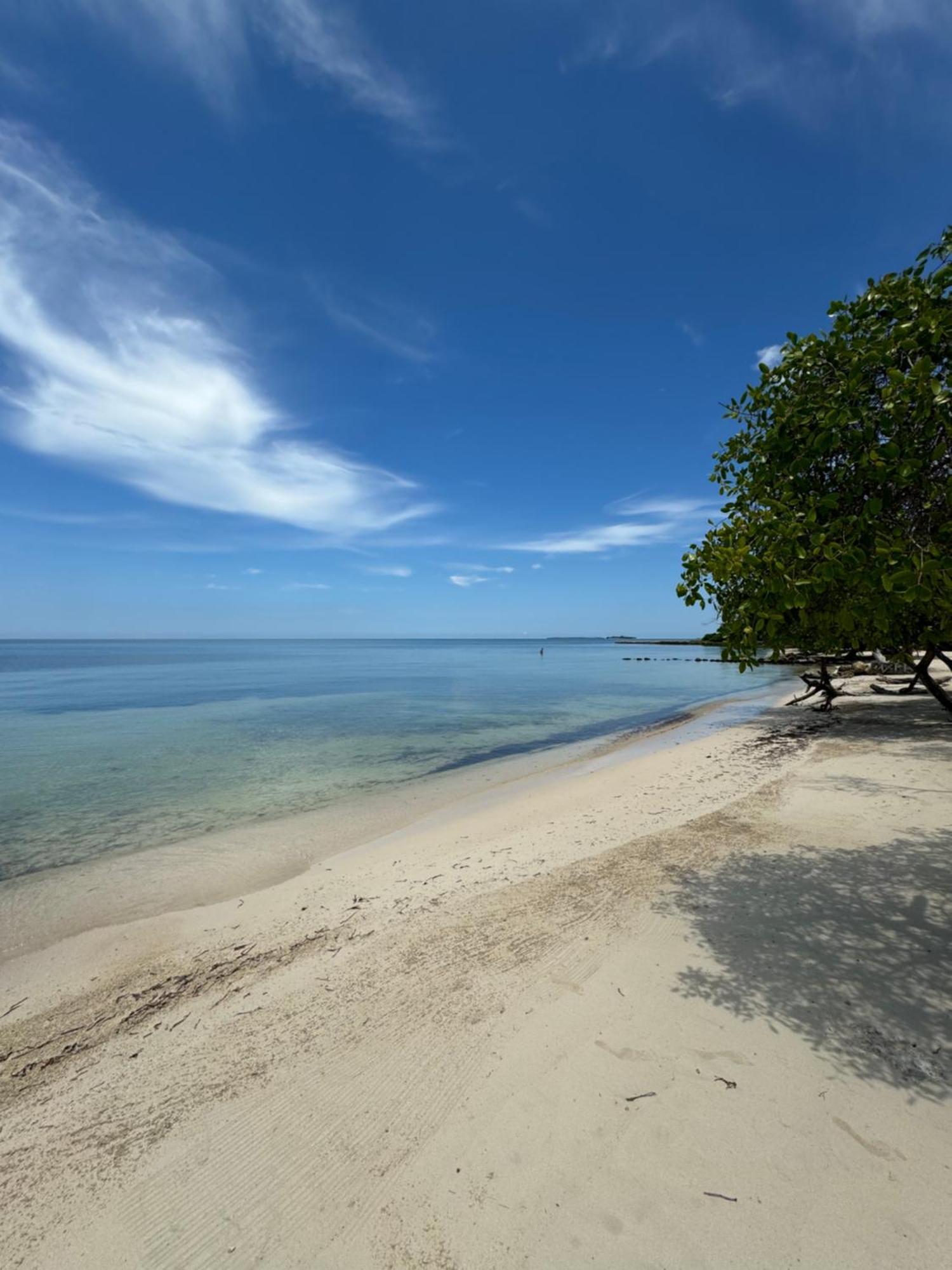 Hotel Playa Eco